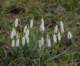 photo100_small.jpg