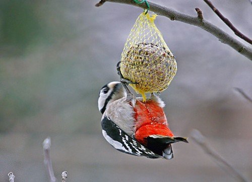 photo13.jpg