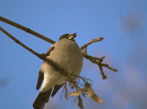 photo21.jpg