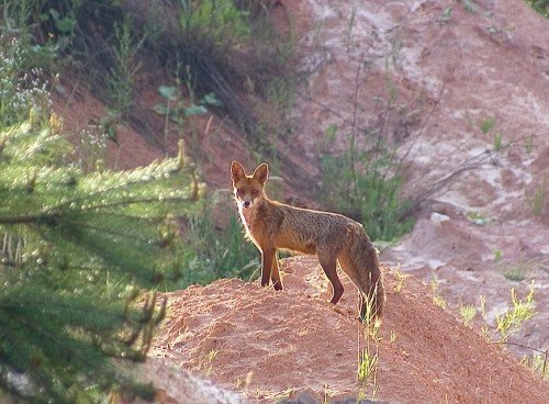 photo33.jpg