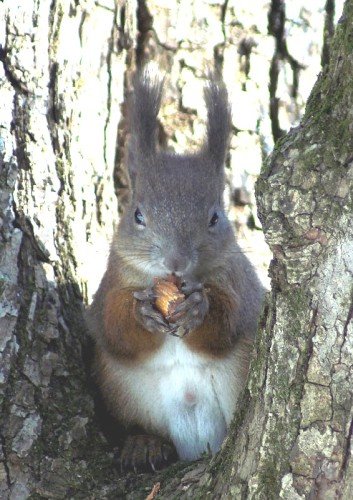 photo36.jpg