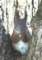 photo36_small.jpg