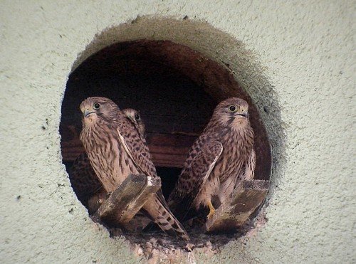 photo45.jpg