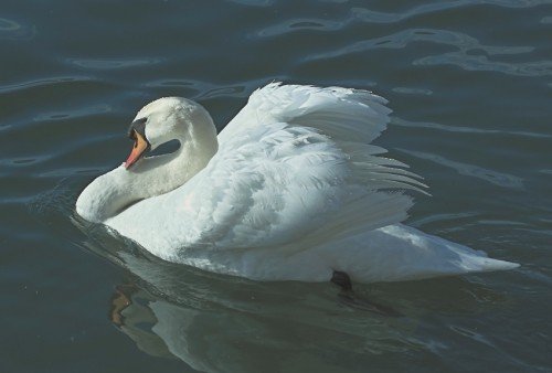 photo55.jpg