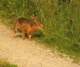 photo76_small.jpg