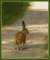 photo78_small.jpg